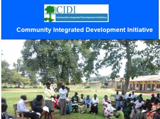 CIDI Annual Report 2014