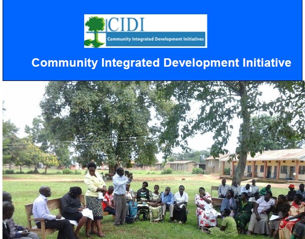 CIDI Annual Report 2014