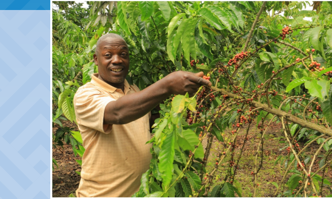 Making Farming More Productive and Profitable for Farmers in Rakai and Kyotera Districts, through cooperative societies, (June,2021)