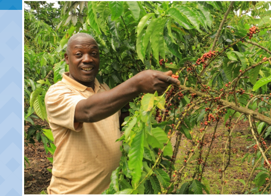 Making Farming More Productive and Profitable for Farmers in Rakai and Kyotera Districts, through cooperative societies, (June,2021)