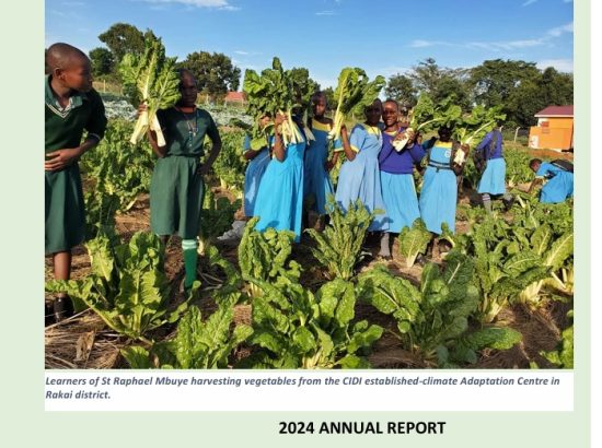 Annual Report 2024